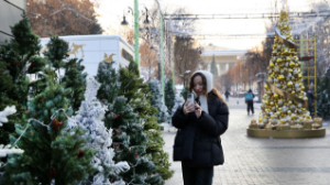 В Алматы организовали ярмарку новогодних елок