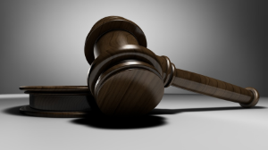 Прокуратура Алматы подала иск на ТОО, владеющего землями в предгорьях