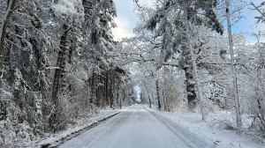 Сильные морозы надвигаются на Казахстан