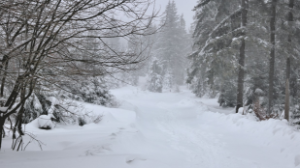 Из-за морозов школьников в Астане перевели на дистанционку