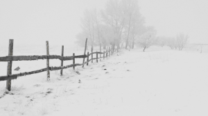 Учащиеся и второй смены в Астане будут учиться дистанционно 22 января