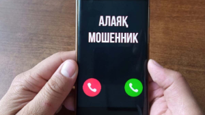 В Астане списали автокредит, оформленный мошенниками на недееспособного гражданина 