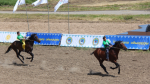  Что будет с алматинским ипподромом, рассказал Досаев 