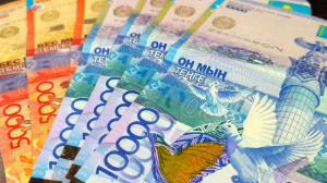 Казахстанцы получили свыше 60 млрд тенге пособий по инвалидности и потере кормильца
