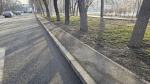 Технические тротуары проложат по 11 магистральным улицам в Бостандыкском районе Алматы