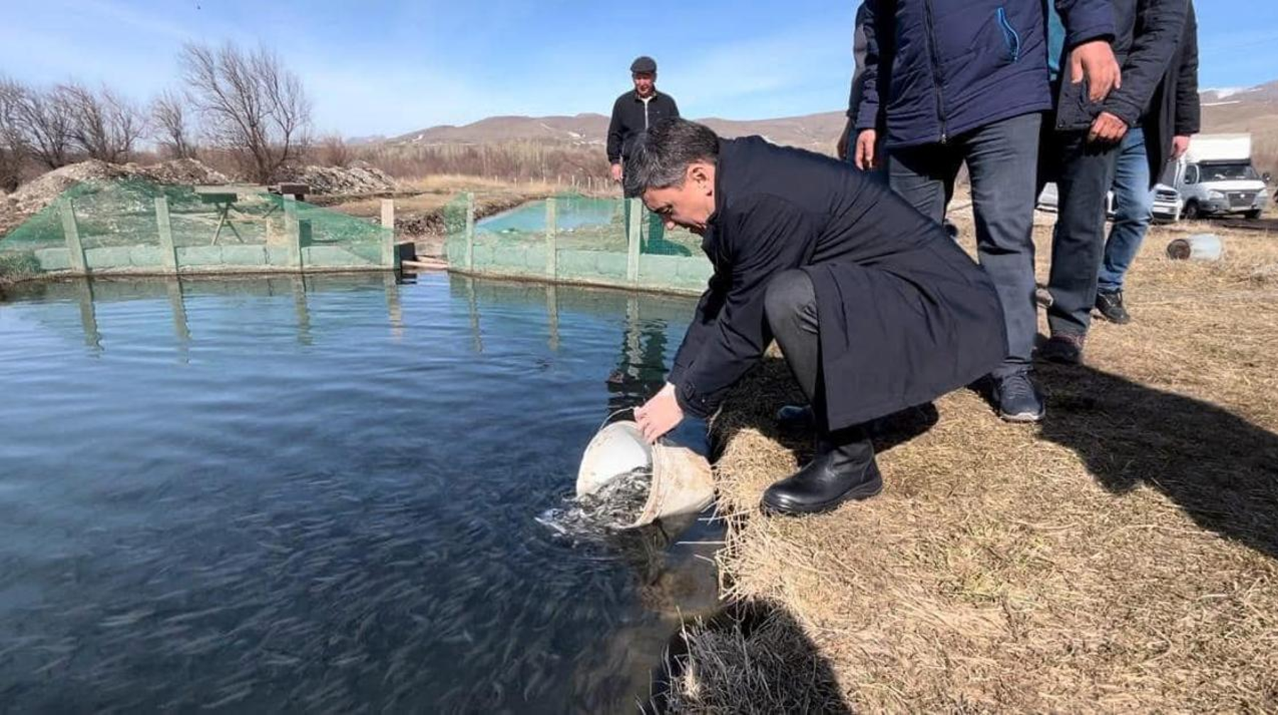 50 тысяч мальков форели выпустили в искусственный водоем в Тюлькубасе