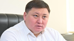 «Это не отлов» – Ерлан Омаров о службе скорой ветпомощи для бродячих животных 