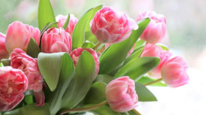 В Астане школьники подготовили необычное поздравление женщинам к 8 Марта