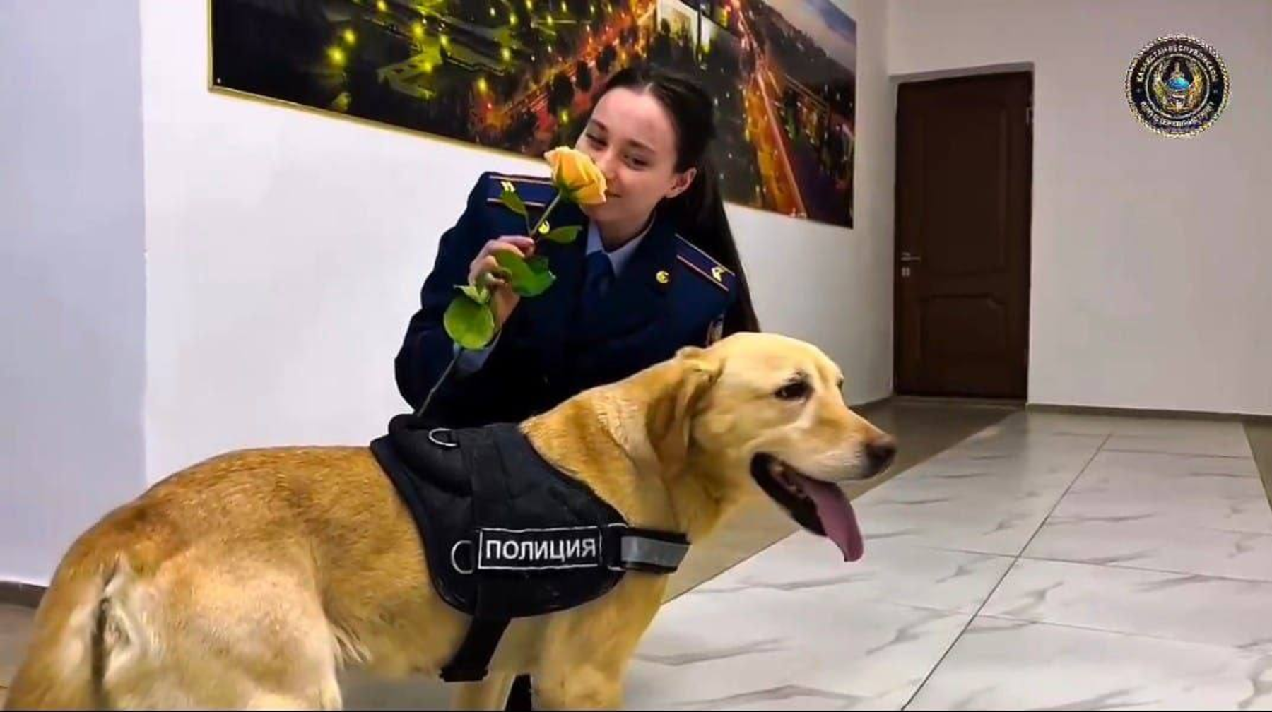 Лабрадор Блонди подарил цветы женщинам-полицейским в Павлодаре