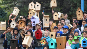 В Казахстане стартовала экологическая акция «1000 скворечников»