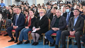 Жители Наурызбайского района поблагодарили акима Алматы за решение вопроса с освещением улиц