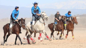 В Сарыагаше состоялся кокпар с участием 150 всадников ко Дню национальных видов спорта