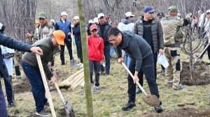 Almaty clean & green: более 10 тыс. деревьев высадили алматинцы в дни Наурыза