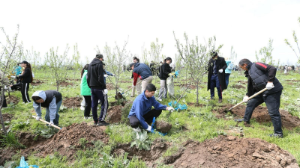 Алматы за неделю: 50 тысяч деревьев, 8 тыс. кубов мусора и рекордное озеленение