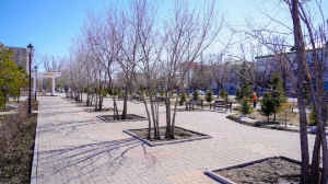 Еще больше зеленых зон появится в Астане