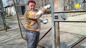 Акция «Покрась свой забор/скамейку/беседку» стала популярной среди алматинцев