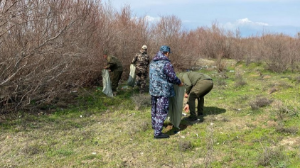 «Чистые водоемы»: природоохранная акция прошла в Туркестанской области 