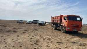 Замор рыбы на водоеме Татыр зафиксирован в Костанайской области