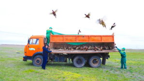 Бектенов поручил интегрировать курорты и парки в единую цифровую экосистему