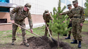 Экоакцию к юбилею Победы провели в военном колледже Астаны 