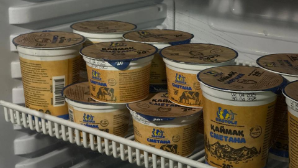 Завод по переработке молочной продукции мощностью 30 тонн в сутки запустили в ВКО