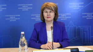 В Алматы выделено 144 млн тенге на обработку от клещей