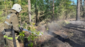 Новая программа для защиты сельских районов от ЧС запущена в Казахстане