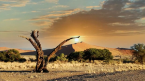 Засушливое лето прогнозируют в Казахстане