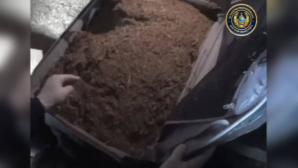 20 кг марихуаны изъяли у жителя Прииртышья