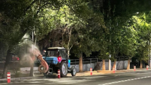 В Алматы проведут биологическую обработку зеленых насаждений