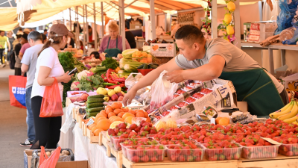 Почти 900 тонн готовой продукции реализуются на ярмарках выходного дня в Алматы