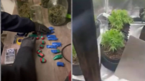 Фитолабораторию ликвидировали в алматинской многоэтажке  