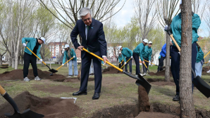  Экофестиваль «Таза Қазақстан»: Токаев посадил дерево в парке «Жастар»