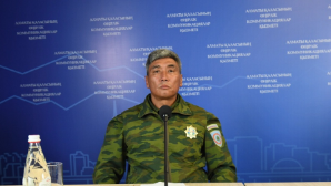 Перед пожароопасным сезоном в Алматы усиливают меры защиты