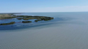 На 12 см вырос уровень воды в озере Балхаш