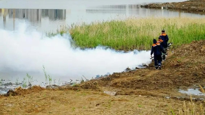 В Астане проводятся полномасштабные дезинсекционные работы против комаров