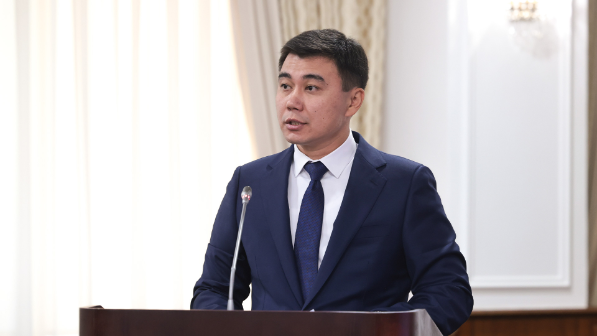 Новую систему проектирования и экспертизы в сфере строительства разрабатывают в Казахстане