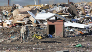 В Рудном запускают проект модернизации мусороперерабатывающего завода