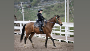 Как в Алматы приобщиться к верховой езде