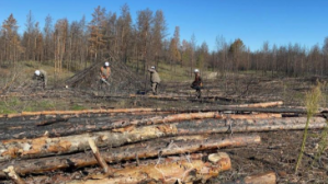 Министр Нысанбаев проверил готовность лесного фонда ВКО к пожароопасному сезону