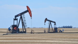 Более 19 тыс. рабочих мест появится в результате развития нефтегазохимической промышленности