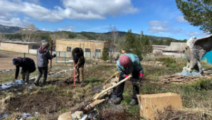 «Таза Қазақстан»: в рамках акции «Киелі мекен» было собрано 12 тонн мусора