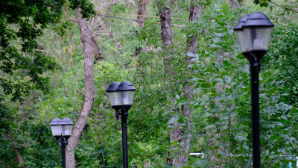 Как в Алматы будут решаться вопросы по освещению в районах, присоединенных из Алматинской области