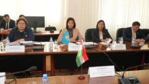 Вице-министр юстиции Ботагоз Жекселекова встретилась с депутатом Государственного парламента Венгрии Жолтом Неметом