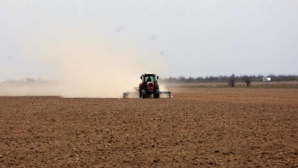 В южных регионах Казахстана завершается посевная кампания