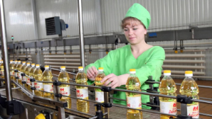 Производство растительного масла в Казахстане увеличилось почти на 24%