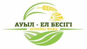 В 2025 году в селах Казахстана реализуют тысячу новых проектов на сумму 176,4 млрд тенге