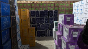 В Семее осуждены участники транснациональной ОПГ