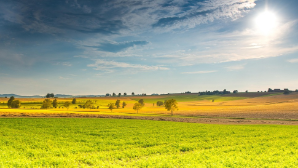 В Казахстане аграриям выделено 385 млрд тенге