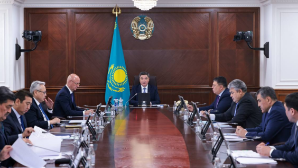 Бектенов поручил не допустить нецелевого использования средств господдержки АПК